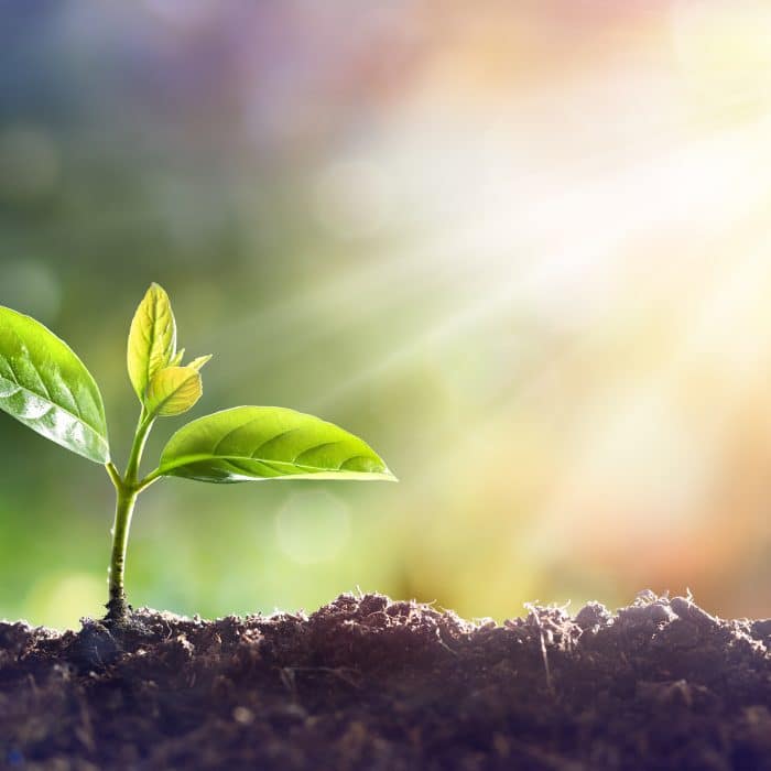 Richgro Garden Products