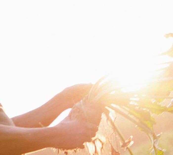 North Metropolitan TAFE