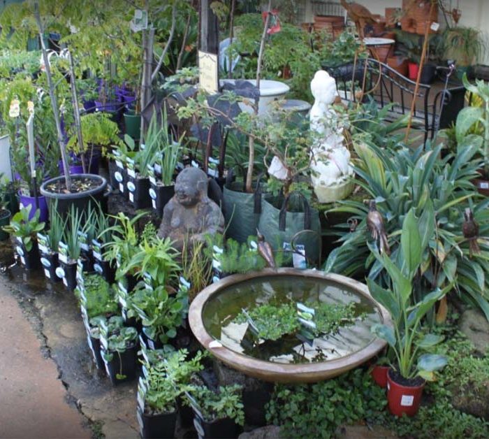 Guildford Garden Centre