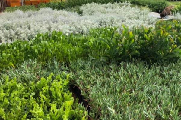 WA Horticultural Services