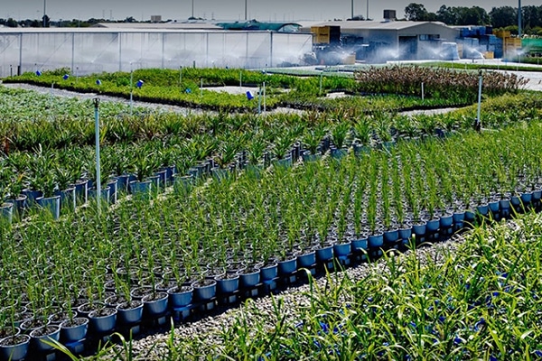 Workpower Wholesale Nursery