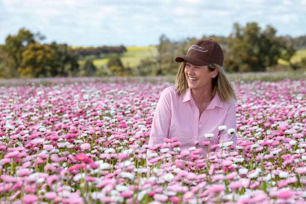 Lucinda’s Everlastings