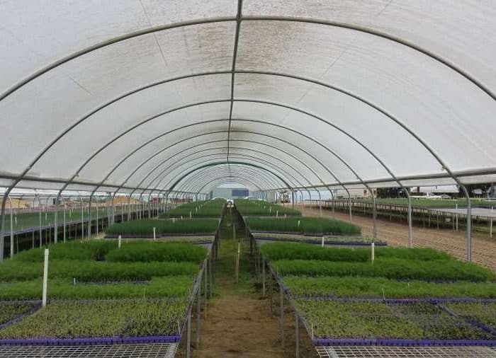 Argosee Greenhouse Technology Pty Ltd