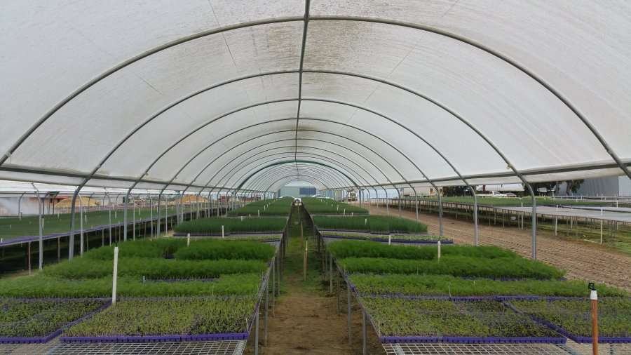 Argosee Greenhouse Technology Pty Ltd